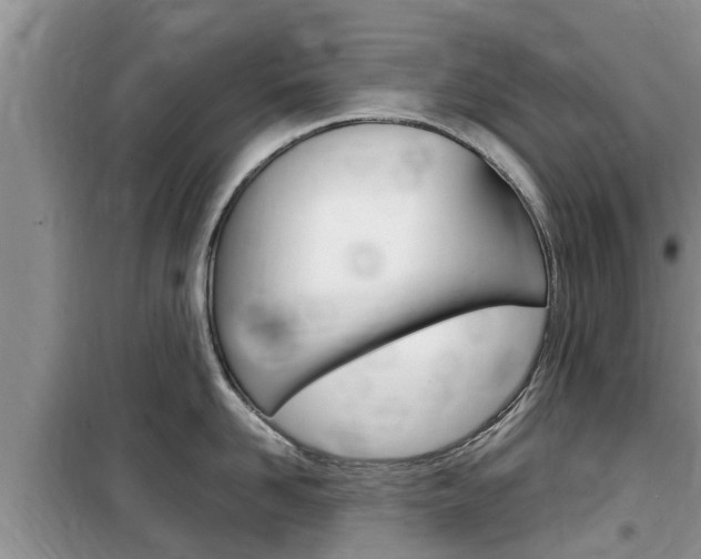 X0000100190958200805300722