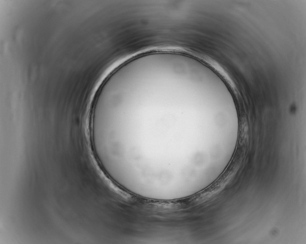 X0000100190959200805300722