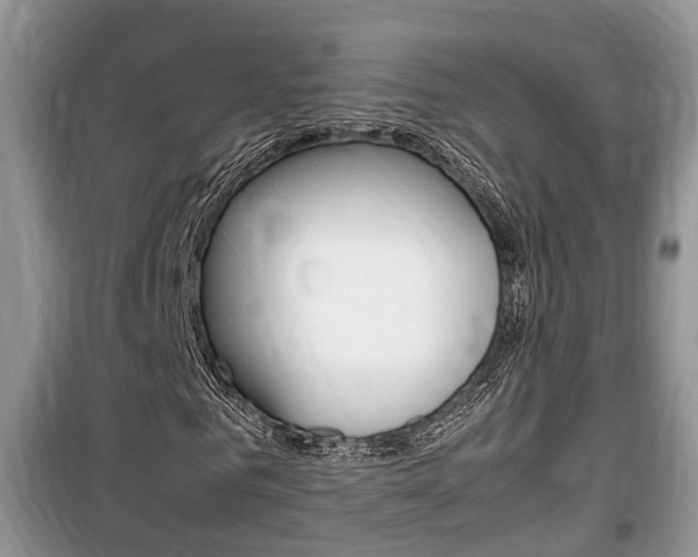 X0000100190961200805300721