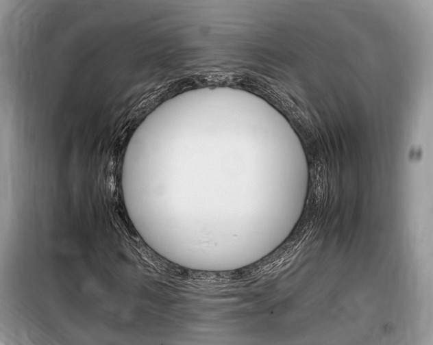 X0000100190962200805300721