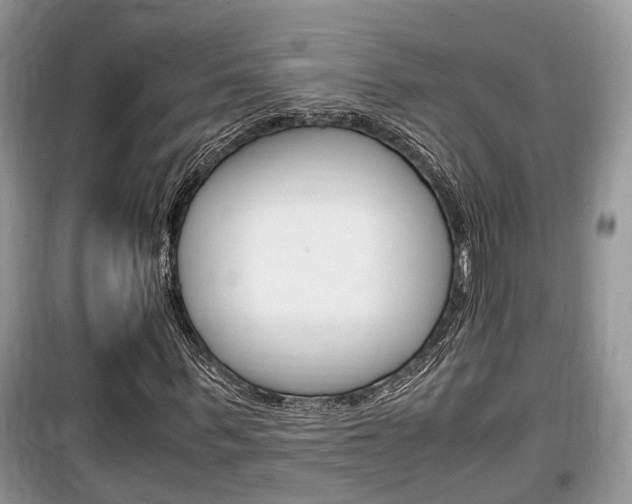 X0000100190963200805300721