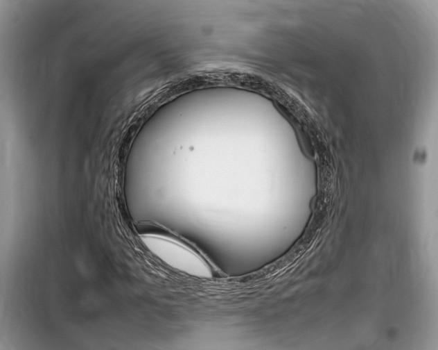 X0000100190965200805300721