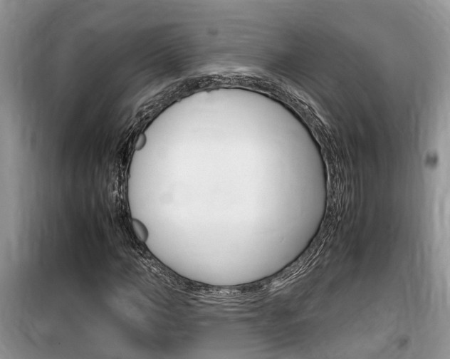 X0000100190966200805300721