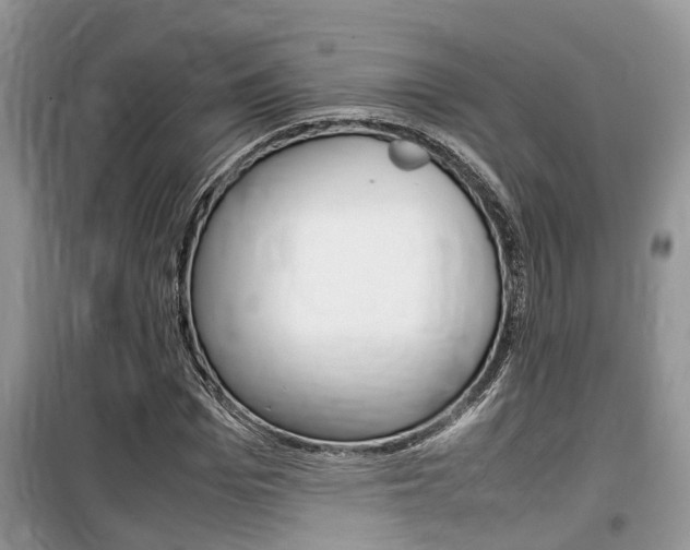 X0000100190969200805300721