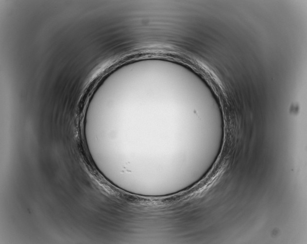 X0000100190970200805300721