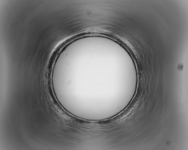 X0000100190971200805300721
