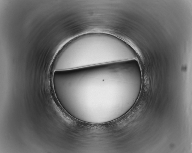 X0000100190972200805300721