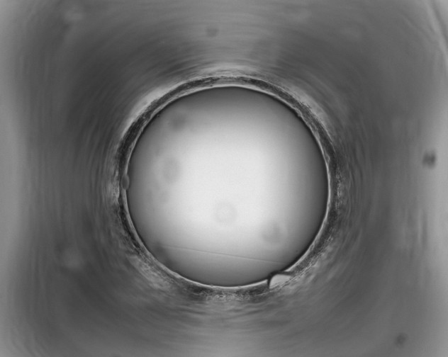 X0000100190973200805300721
