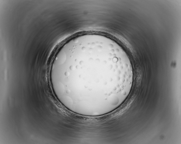 X0000100190974200805300721