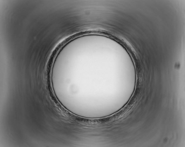 X0000100190975200805300721