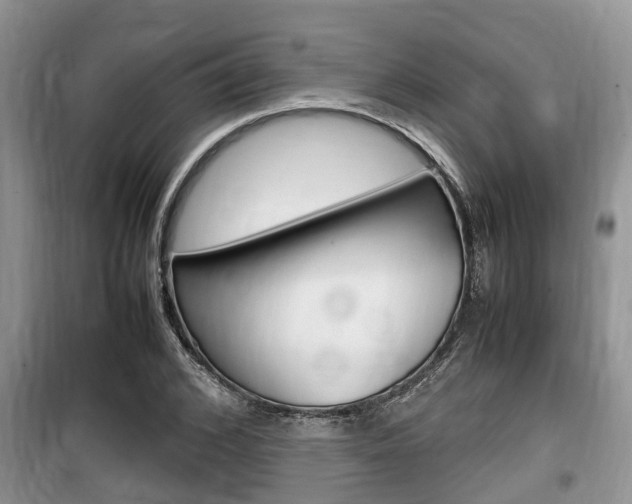 X0000100190976200805300721