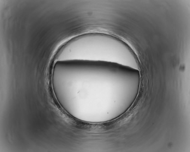 X0000100190979200805300721