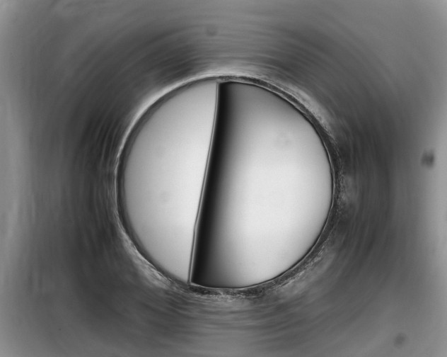 X0000100190980200805300721