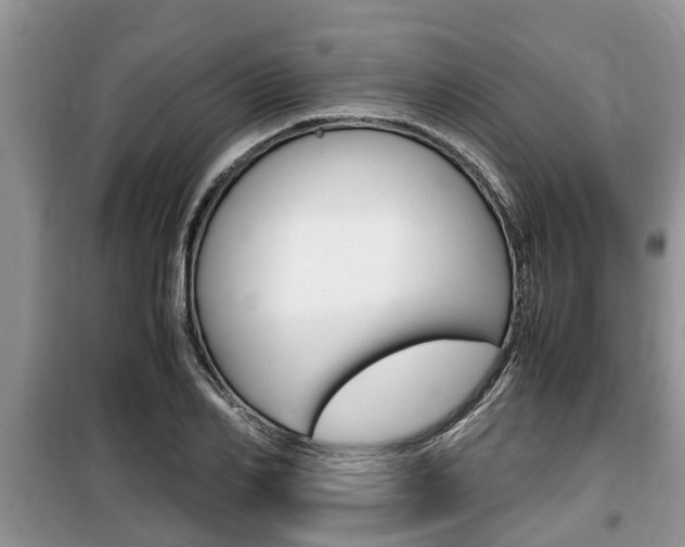 X0000100190982200805300721