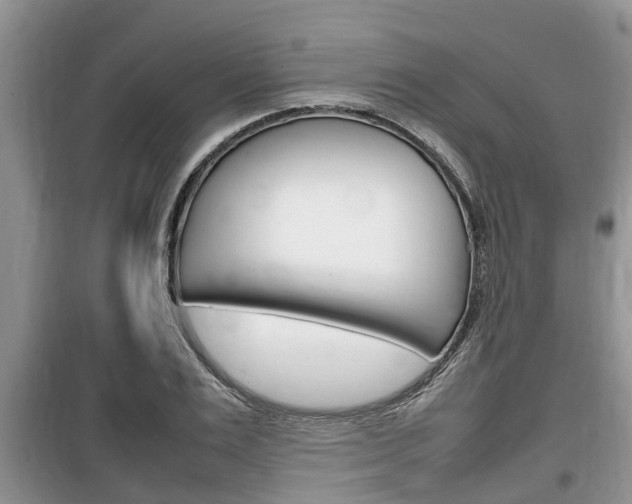 X0000100190983200805300721