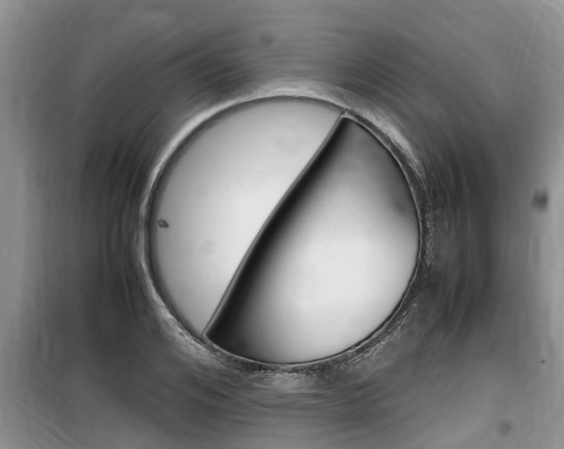 X0000100190984200805300721