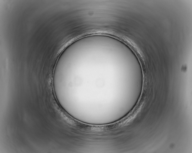 X0000100190985200805300721