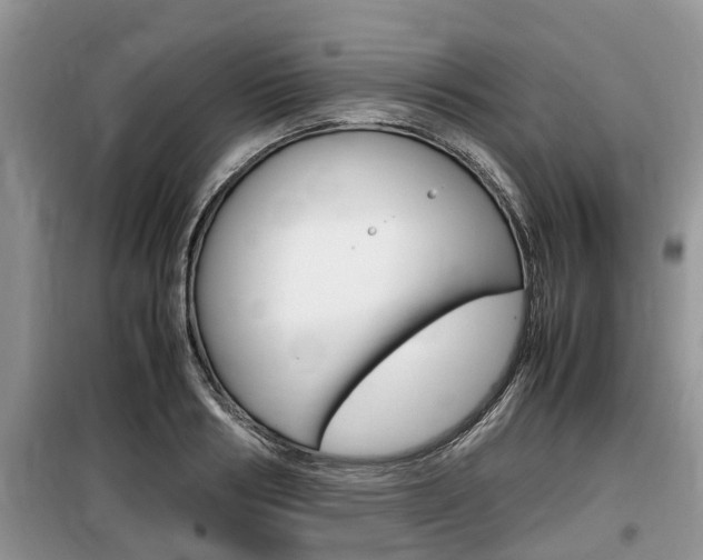 X0000100190986200805300721