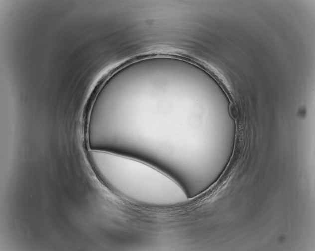 X0000100190987200805300721