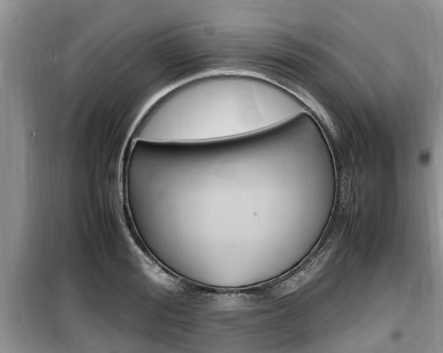 X0000100190988200805300721