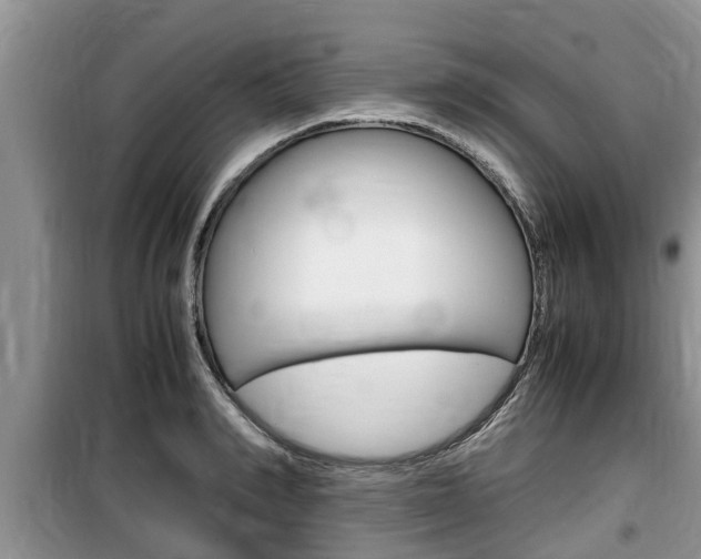 X0000100190990200805300721