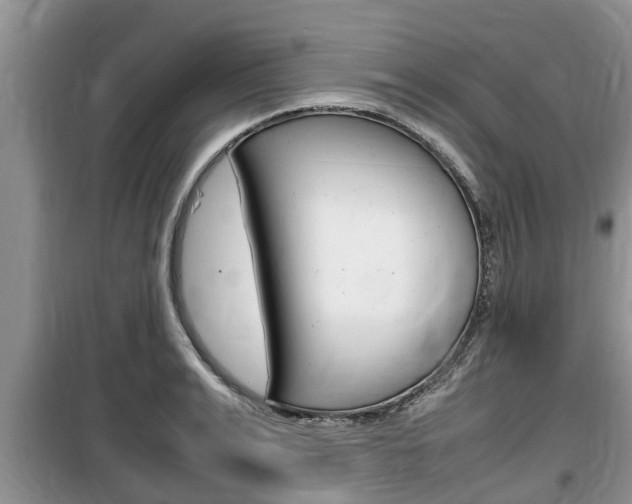 X0000100190991200805300721