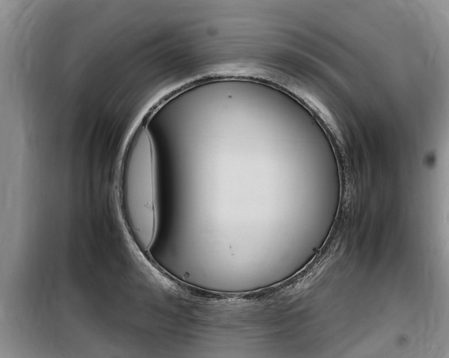 X0000100190992200805300721