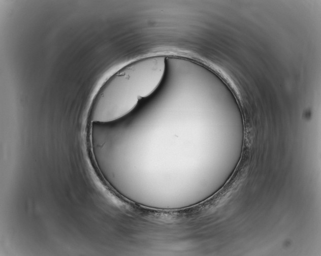 X0000100190995200805300720