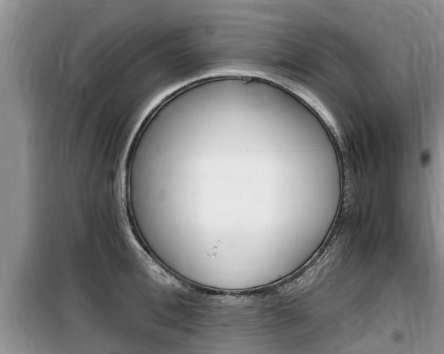 X0000100190996200805300720