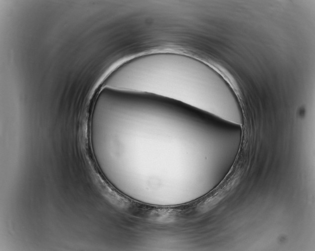 X0000100191000200805300720