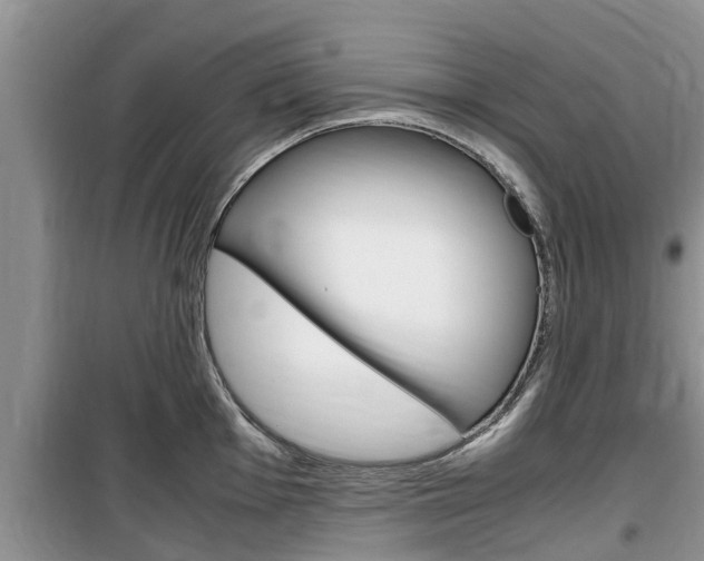 X0000100191001200805300720
