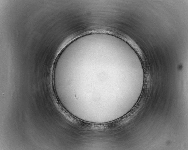X0000100191002200805300720