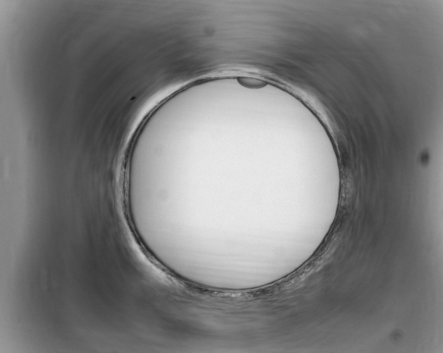 X0000100191003200805300720