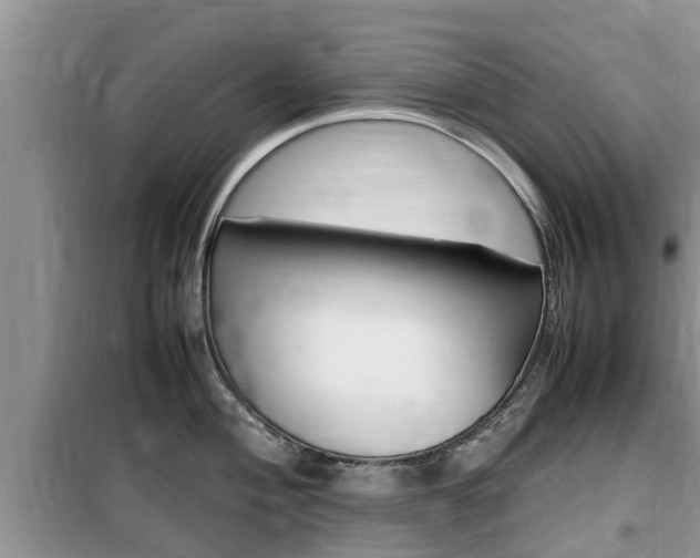 X0000100191004200805300720