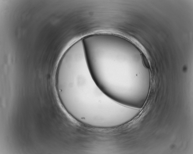 X0000100191005200805300720