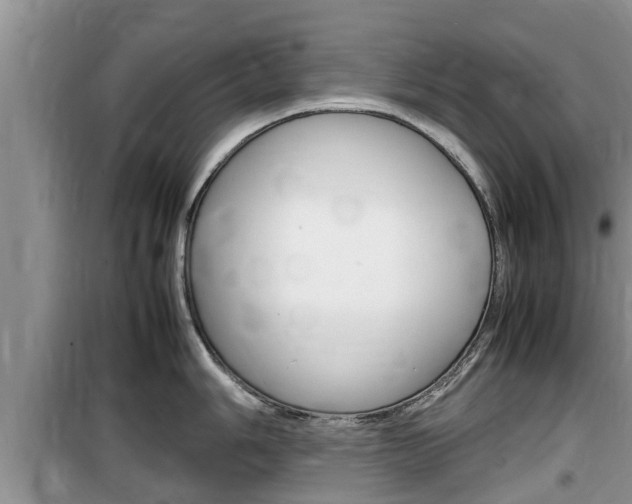 X0000100191006200805300720