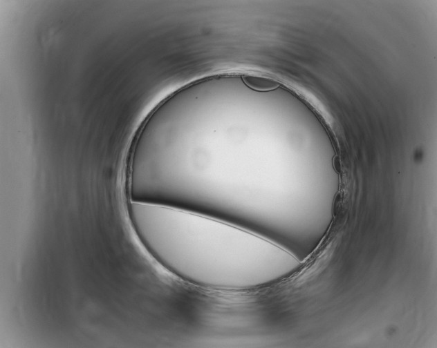 X0000100191007200805300720