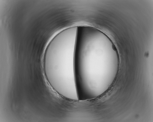 X0000100191008200805300720