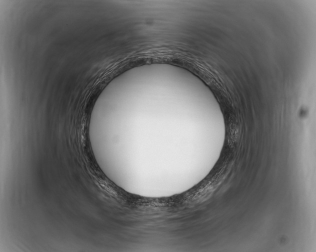 X0000100191010200805300720