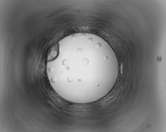 X0000100191011200805300720