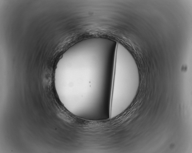 X0000100191012200805300720