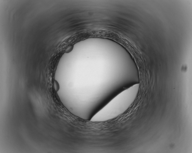 X0000100191013200805300720