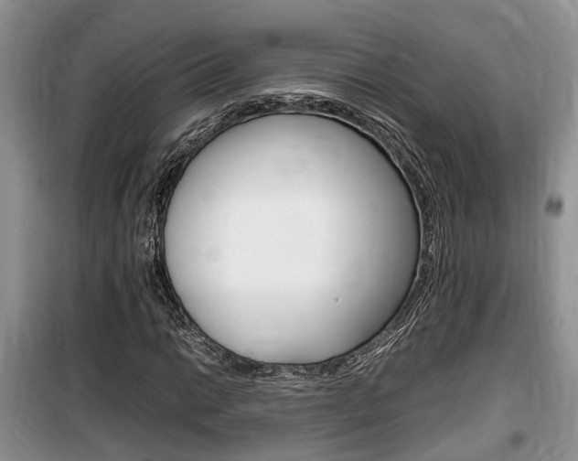 X0000100191014200805300720