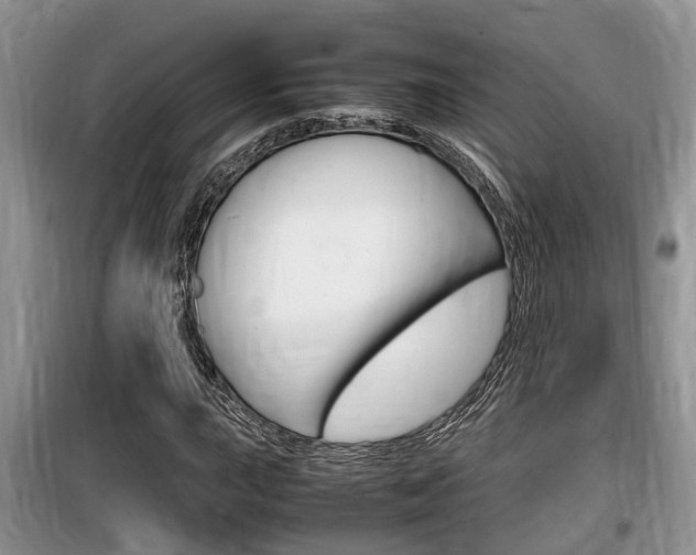 X0000100191015200805300720