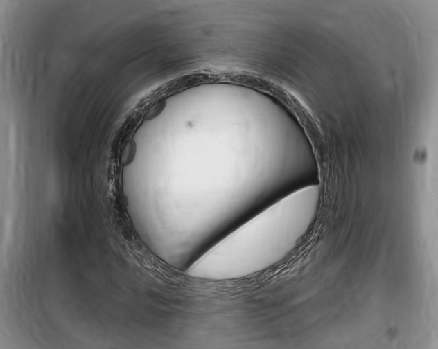 X0000100191016200805300720