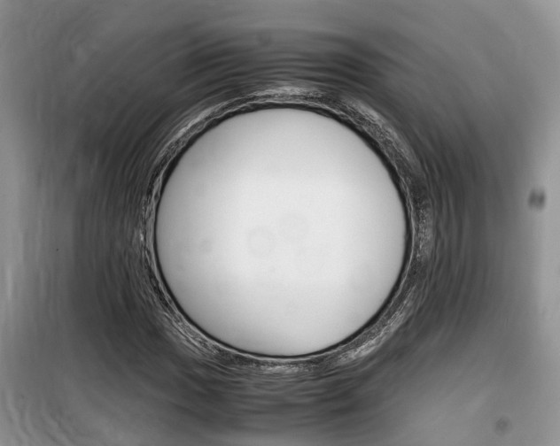 X0000100191017200805300720