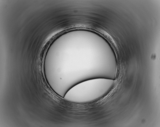 X0000100191019200805300720