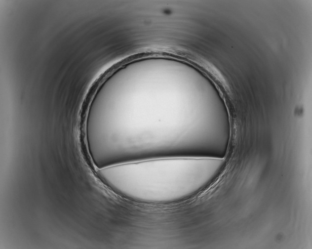 X0000100191020200805300720
