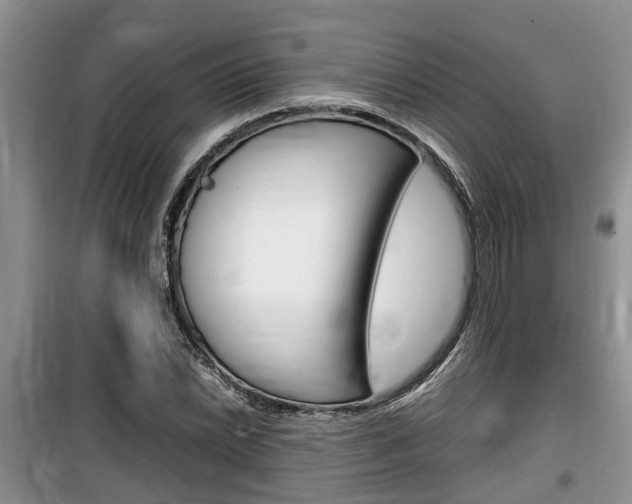 X0000100191022200805300720