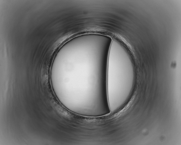 X0000100191025200805300720